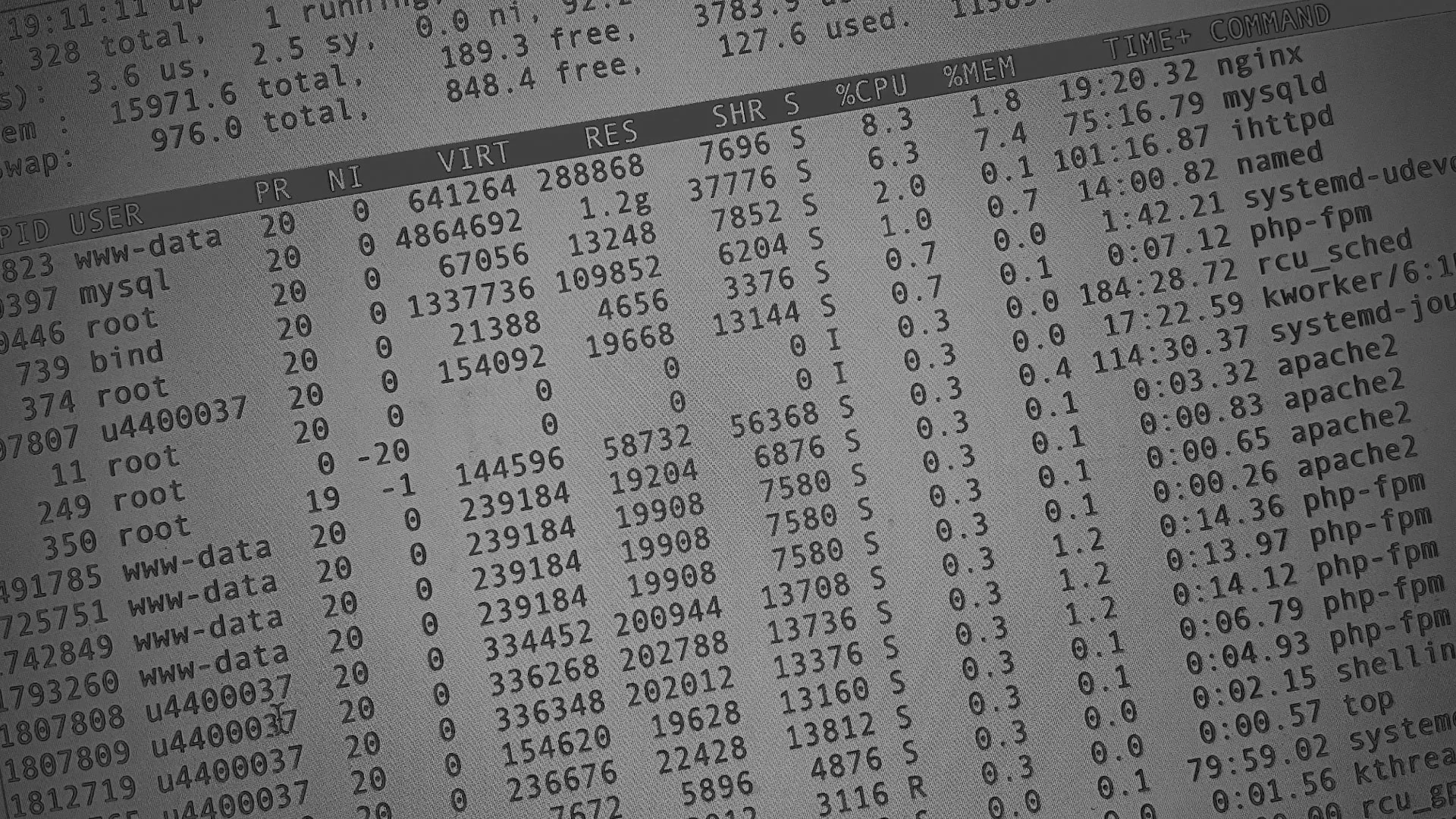 Настройка сервера в Мамадыше