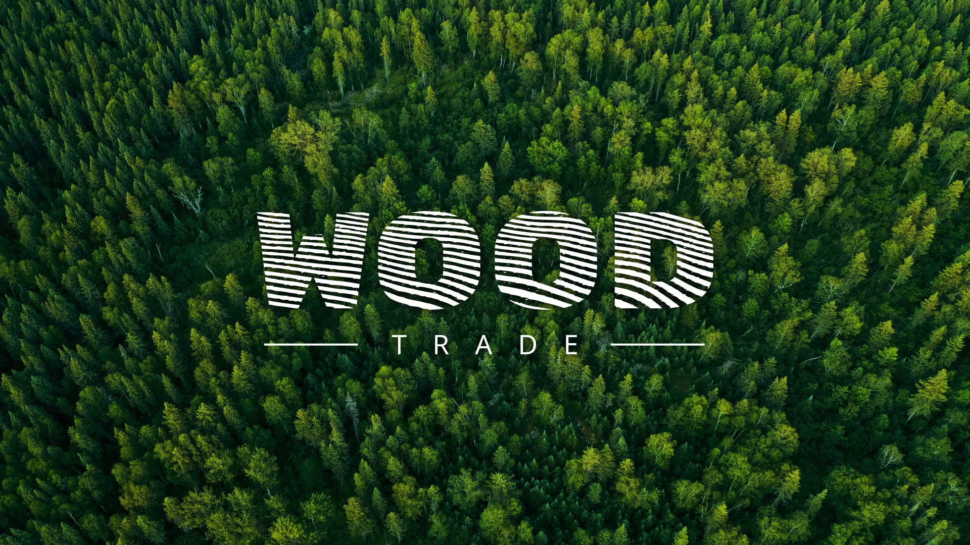 Разработка интернет-магазина компании «Wood Trade» в Мамадыше
