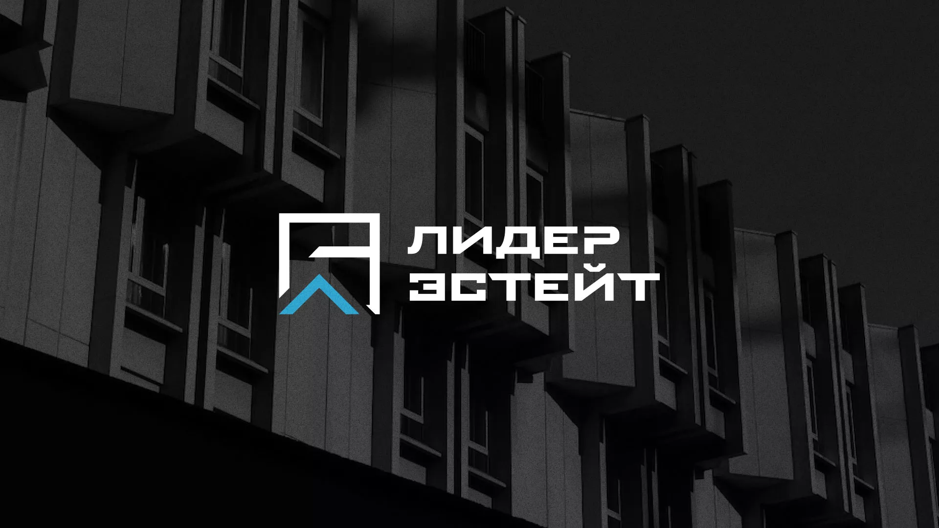 Разработка логотипа агентства недвижимости «Лидер Эстейт» в Мамадыше